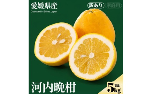 ＜河内晩柑（訳あり）合計約5kg＞『2027年4月上旬～5月下旬迄に順次出荷予定』訳アリ わけあり かわちばんかん さっぱり 爽やか 蜜柑 ミカン 果汁 果物 くだもの フルーツ 柑橘 あまい 季節 旬の果物 特産品 お取り寄せ NOT FARM 愛媛県 西予市 【常温】 2851638 - 愛媛県西予市