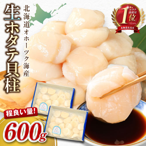 【予約：2026年10月から順次発送】北海道オホーツク海産 ホタテ貝柱 600g 生食用 ( 海鮮 魚介 魚介類 貝 ほたて 刺身 貝柱 海鮮丼 贈答 ギフト 小分け 帆立貝柱 人気 ふるさと納税 ホタテ )【239-0006】 2851859 - 北海道北見市