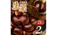 千代田のこだわり生栗 2kg 和栗 2Lサイズ | 茨城県 かすみがうら市【1787734】