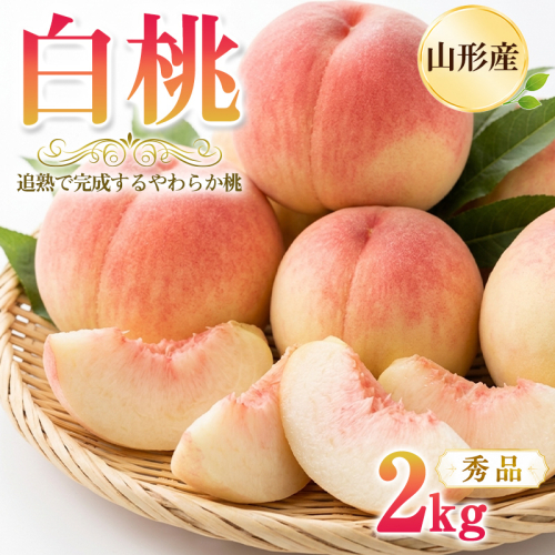 山形産 白桃2kg (5～9玉) 秀品 [追熟で完成するやわらか桃] 産地直送【令和9年産先行予約】FS26-001 2851994 - 山形県山形市