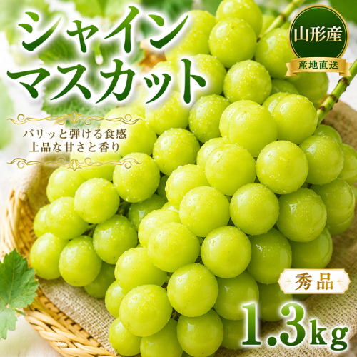 山形産 シャインマスカット 1.3kg (2～3房) 秀品 産地直送 【令和9年産先行予約】FS26-002 2852002 - 山形県山形市