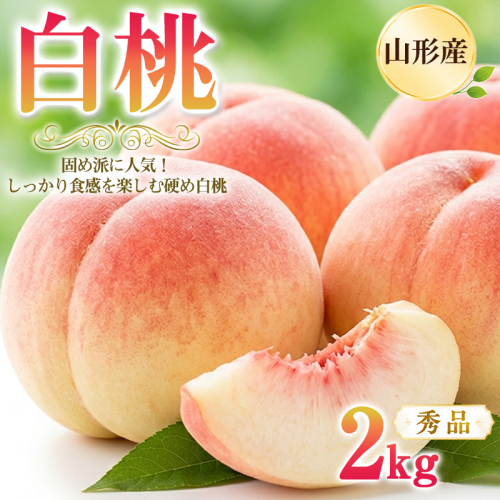 山形産 白桃2kg 秀品 (5～9玉) 固め派に人気！しっかり食感を楽しむ硬め白桃 産地直送  【令和9年産先行予約】FS26-003 2852005 - 山形県山形市