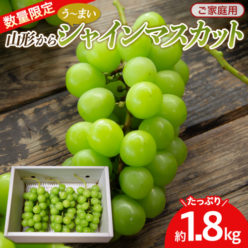 《数量限定》【ご家庭用】山形からう～まいシャインマスカット たっぷり 1.8kgお届け！ FY26-285 2852021 - 山形県山形市