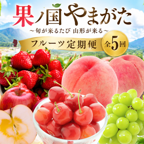 【定期便5回】果ノ国やまがた ～旬が来るたび山形が来る～ フルーツ定期便全5回  FY26-286 2852048 - 山形県山形市