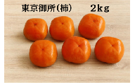 「市川さんの柿」東京御所 ２ｋｇ