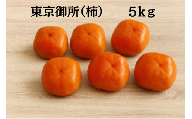 「市川さんの柿」東京御所５ｋｇ