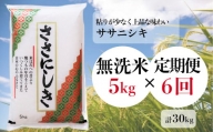 【定期便/6ヶ月】進さんのお米「ササニシキ／無洗米」 5kg