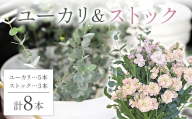 【2026年11月に順次発送】ユーカリ5本＆ストック3本 F2Y-7080