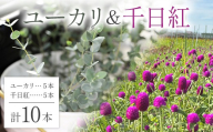 【2027年9月に順次発送】ユーカリ5本＆千日紅5本(色おまかせ) F2Y-7081
