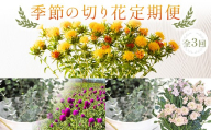 【2027年先行予約】【定期便3回】季節の切り花定期便(7月紅花、9月ユーカリ＆千日紅、11月ストック＆ユーカリ) F2Y-7084