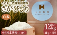 【全3回定期便】特別栽培米 令和5年産  白米 さがびより 4kg【北原農園】[HCA010]