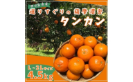 【2027年2月中旬頃より順次発送】選りすぐり薩摩濃密タンカン 4.5kg【1784711】