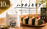 【 6回定期便 】 熊本市産 ヒノヒカリ 玄米 10kg ( 約67合 ） ｜ ハタチノキオク 6回 お米 米 白飯 ご飯 おにぎり 和食 国産 熊本県産 ブランド米 定期 定期配送