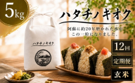 【 12回定期便 】 熊本市産 ヒノヒカリ 玄米 5kg ( 約33合 ） ｜ ハタチノキオク 12回 お米 米 白飯 ご飯 おにぎり 和食 国産 熊本県産 ブランド米 定期 定期配送