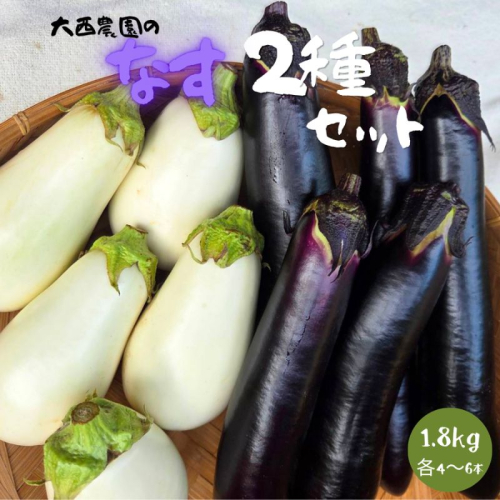 なす 白ナス 長ナス 食べ比べ 2種 セット 計1.8kg 各4～6本 とろ～り旨なす ふわとろ長なす 茄子 なす 茄子 ナス 旨い 甘い 野菜 夏野菜 旬 産地直送 農園直送 送料無料 大西農園 岐阜県 揖斐川町 2854051 - 岐阜県揖斐川町
