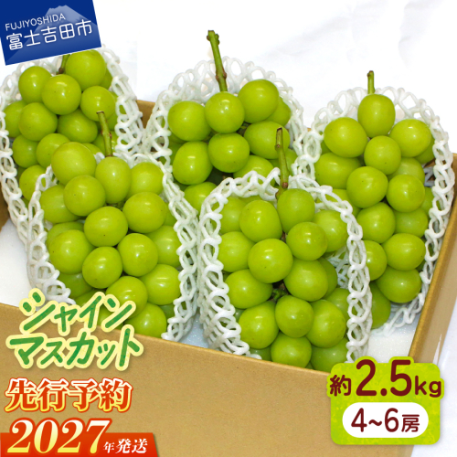 【2027年発送 先行予約】山梨県産 シャインマスカット約2.5kg（4～6房） 2854197 - 山梨県富士吉田市