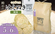 【令和8年産 新米】【定期便6ヶ月】殿やのはえぬき 精米 5kg×6ヶ月 山形県鶴岡市産　K-827