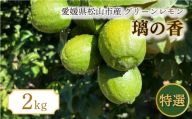 【2026年9月中旬頃から順次発送】特選 グリーン璃の香 M・L 2kg | 果物 くだもの フルーツ グリーンレモン ぐりーんれもん