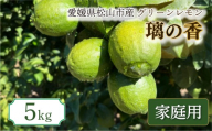 【2026年9月中旬頃から順次発送】家庭用 グリーン璃の香 S～2L 5kg | 果物 くだもの フルーツ グリーンレモン ぐりーんれもん
