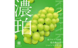 【商品詳細】HERNESTオリジナルブランド「濃珀~KOHAKU~」は南アルプスのシャインマスカットの中で、糖度18度以上、一粒15g以上、整った房型など独自に設定する最高水準の品質をクリアした房のみ