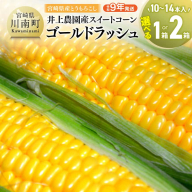 ※内容量が選べる※【令和9年発送】井上農園産スイートコーン(ゴールドラッシュ) 【 トウモロコシ スイートコーン 2027年発送 先行予約 数量限定 期間限定 】