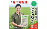 1月下旬配送／令和8年産【精米】　特別栽培米『はえぬき』 10kg(5kg×2袋)［減農薬・減化学肥料］ MA SB1130