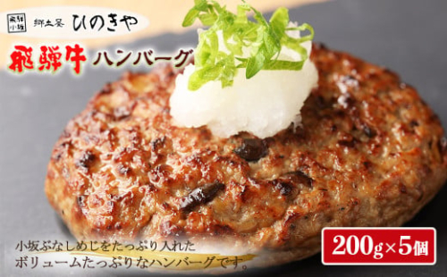 【お一人様にもおすすめ!】飛騨牛ハンバーグ(200g×5個)冷凍 個包装 長期保存に便利 285838 - 岐阜県下呂市