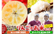 【26年11月中旬発送】りんご×お米セット まっしぐら 慣行栽培【白米】5kg ＆葉とらず 高徳【家庭用】約2kg 先行受付 青森県産 權之丞 [先行予約 お米 東北 精米 青森 青森県産 白米 米 ブランド米 青森 りんご リンゴ 林檎]
