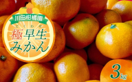 【2026年9月下旬～発送】 川田柑橘園 呉市大長産 「極早生みかん」3kg / みかん わせみかん ごくわせみかん さわやか ジューシー 広島県呉市 呉市 ku055-016-26
