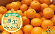 【先行受付】 【2026年10月下旬～発送】 川田柑橘園 広島大長産 「早生みかん」 3kg  / わせみかん みかん 濃厚 薄皮 フルーツサンド フルーツ 果物 広島県呉市 呉市 ku055-018-26