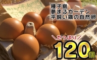 種子島 平飼い 産み立て たまご 夢まるガーデン 鶏卵 ×120個　NFN370【1000pt】
