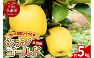 【26年11月中旬～発送】りんご シナノゴールド 家庭用 約5kg 先行受付 [先行予約 林檎 5 kg 美味 おいしい 青森県 弘前市 りんご農園ひろさと舎]