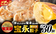 【JAPAN餃子大賞2026（TM） 通販餃子 金賞受賞】手包み餃子 ぎょうざの宝永 チーズ餃子30個セット（チーズ餃子15個入×2袋）　T004-008-02