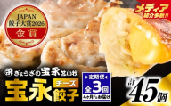 【定期便・全3回 4ヶ月毎】【JAPAN餃子大賞2026（TM） 通販餃子 金賞受賞】手包み餃子 ぎょうざの宝永 チーズ餃子15個セット（チーズ餃子15個入×1袋）　T004-T08-01-01