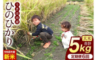 【ふるさと納税】令和8年度産 新米 玄米 ひのひかり 5kg 6ヶ月定期便 自然栽培 農薬不使用 米 お米 国産 ご飯 ごはん こめ コメ ヒノヒカリ 健康 食物繊維 腸活 ヘルシー 自然食品 ヴィーガン 家庭用 送料無料 福岡 お取り寄せ うきは市 人気 返礼品 ぶんぶんファーム