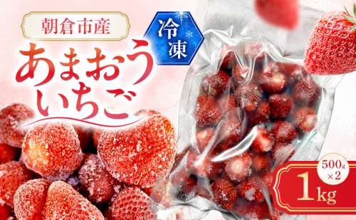 いちご 朝倉市産 冷凍あまおう 1kg（500g×2）イチゴ 苺 果物 デザート ＜しばやま農園＞ ※配送不可：離島 2859590 - 福岡県朝倉市