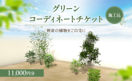 チケット 植木の施工チケット（補助券） 11,000円分 植物 グリーン ビル マンション お庭 エントランス デザイン 植木施工 緑 サービス グリーンコーディネート