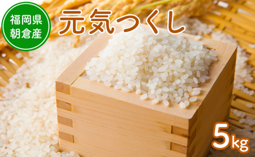 令和8年度産米 元気つくし 5kg  福岡県朝倉産 白米 精米 お米 2859622 - 福岡県朝倉市