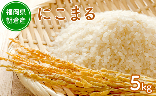 令和8年度産米 にこまる 5kg 福岡県朝倉産 白米 精米 お米 2859623 - 福岡県朝倉市