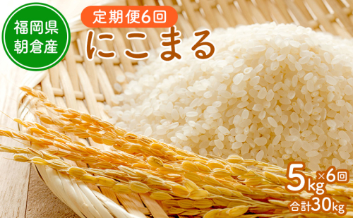 令和8年度産米 定期便 6ヶ月 にこまる 5kg 福岡県朝倉産 白米 精米 お米 2859625 - 福岡県朝倉市