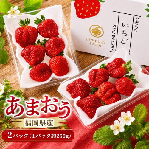 あまおう イチゴ 2パック（1パック約250g) 化粧箱 2859628 - 福岡県朝倉市