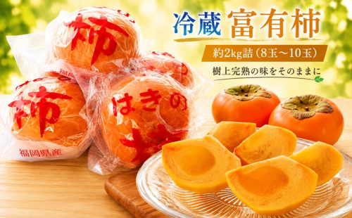 福岡県朝倉産【樹上完熟の味をそのままに】一玉ずつ丁寧に袋詰めした、朝倉のプレミアム冷蔵富有柿 約2kg詰（8玉～10玉） 2859636 - 福岡県朝倉市