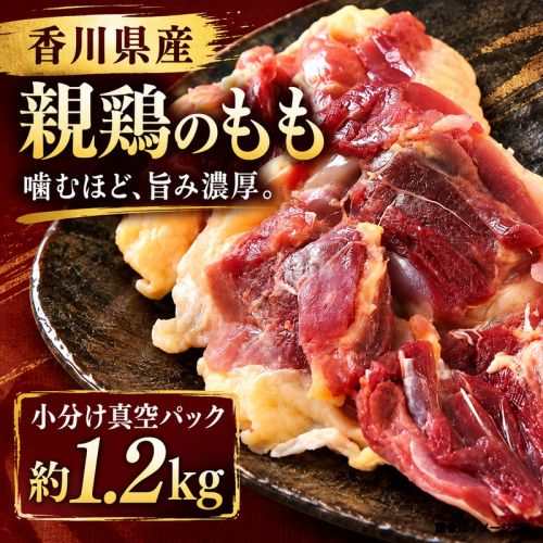 香川県産 親鶏のもも 小分け真空パック 約1.2kg 肉 お肉 鶏肉 親鳥 親鶏 香川 香川県 2859637 - 香川県綾川町
