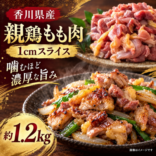 香川県産 親鶏 もも肉 1cm スライス 約1.2kg 肉 お肉 鶏肉 親鳥 香川 香川県 2859639 - 香川県綾川町