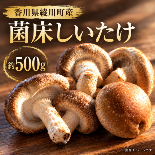 菌床しいたけ 500g  国産 綾川町産 椎茸 しいたけ シイタケ きのこ 2859644 - 香川県綾川町