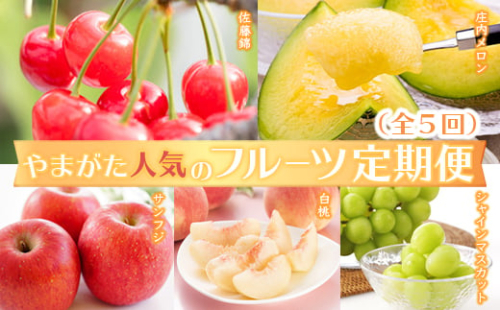 《2023年発送先行予約》やまがた人気のフルーツ定期便(全5回) FSY-0096 285969 - 山形県山形県庁