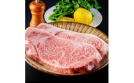 A5ランク 仙台牛 サーロイン 特大ステーキ 1kg (500g×2枚) 仲卸厳選 厚切り はみ出る大きさ 3～4人前 ステーキ肉 和牛 国産 牛肉 贈り物 ギフト プレゼント お歳暮 お正月 クリスマス