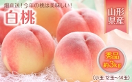 《先行予約 2024年度発送》今年の桃は美味しい！畑直送、小玉ですが秀品3kg！ FSY-0123