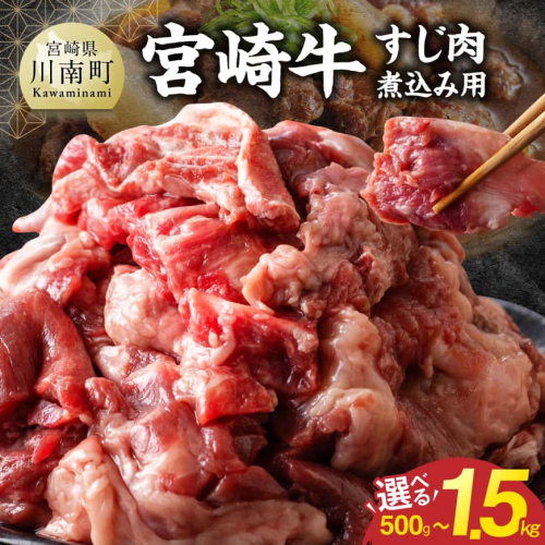 ※グラムが選べる※宮崎牛すじ肉煮込み用　500g～1500g　【 肉 宮崎 カレー 牛肉  宮崎牛 おかず 厳選 】 2860038 - 宮崎県川南町
