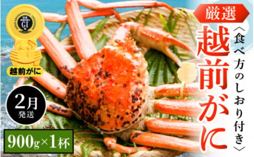 越前がに本場の越前町からお届け！ 越前がに 浜茹で 中サイズ（生で900g以上） × 1杯 食べ方しおり付き【かに カニ 蟹】【福井県 越前町 雄 ズワイガニ ボイル 冷蔵 越前ガニ 越前かに 越前カニ ずわいがに ずわい蟹 かに カニ 蟹】【2月発送分】希望日指定可 備考欄に希望日をご記入ください [e14-x006_02] 286015 - 福井県越前町